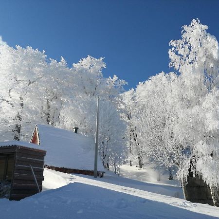 Mountain Village Žabljak 外观 照片