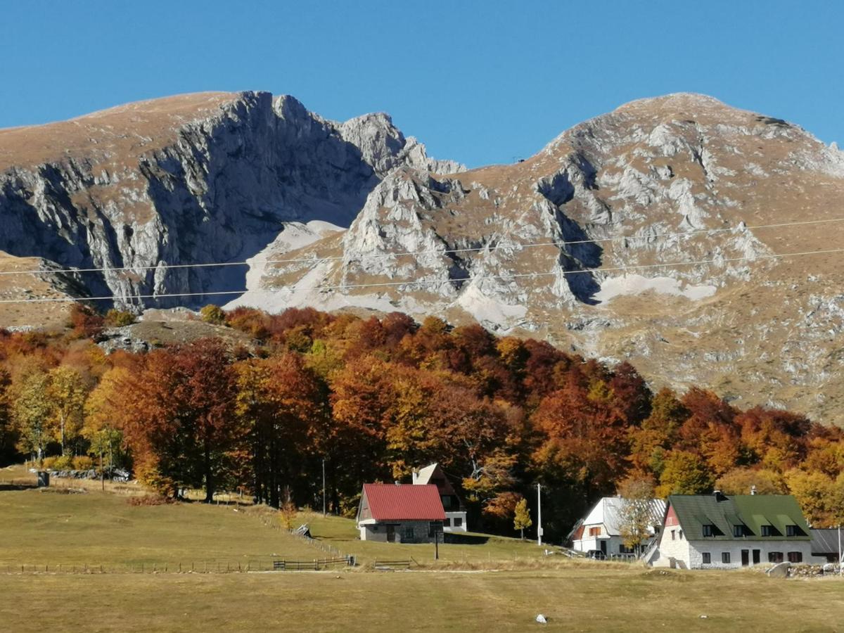 Mountain Village Žabljak 外观 照片
