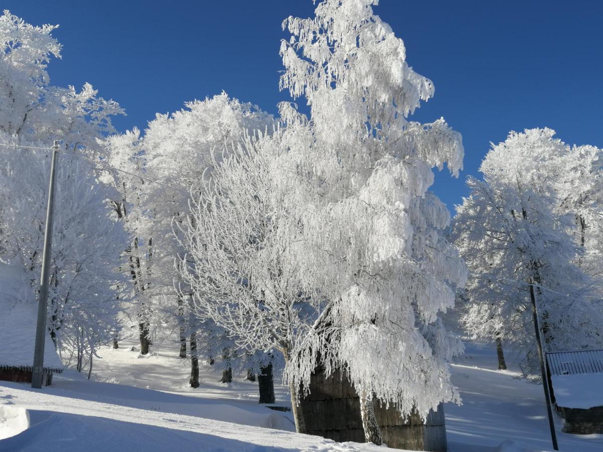 Mountain Village Žabljak 外观 照片